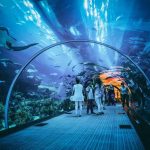 Attractions in Dubai
