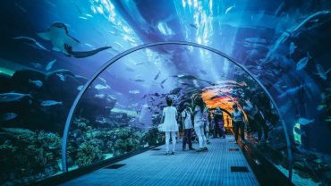 Attractions in Dubai