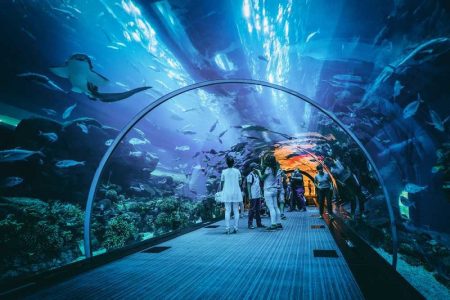 Attractions in Dubai