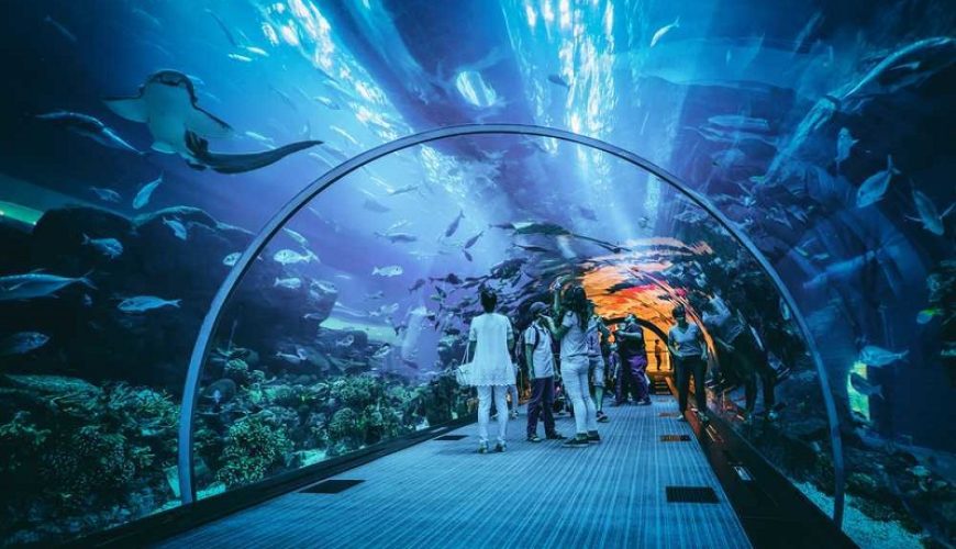 Attractions in Dubai