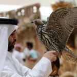 Local and Cultural Riches