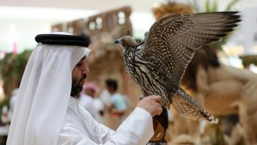 Local and Cultural Riches
