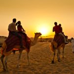 Embark on an Unforgettable Desert Safari Adventure in Dubai