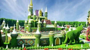 Dubai Miracle Garden: A Floral Wonderland
