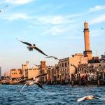 A Guide to Dubai’s Neighborhoods: Exploring the City’s Diverse Districts