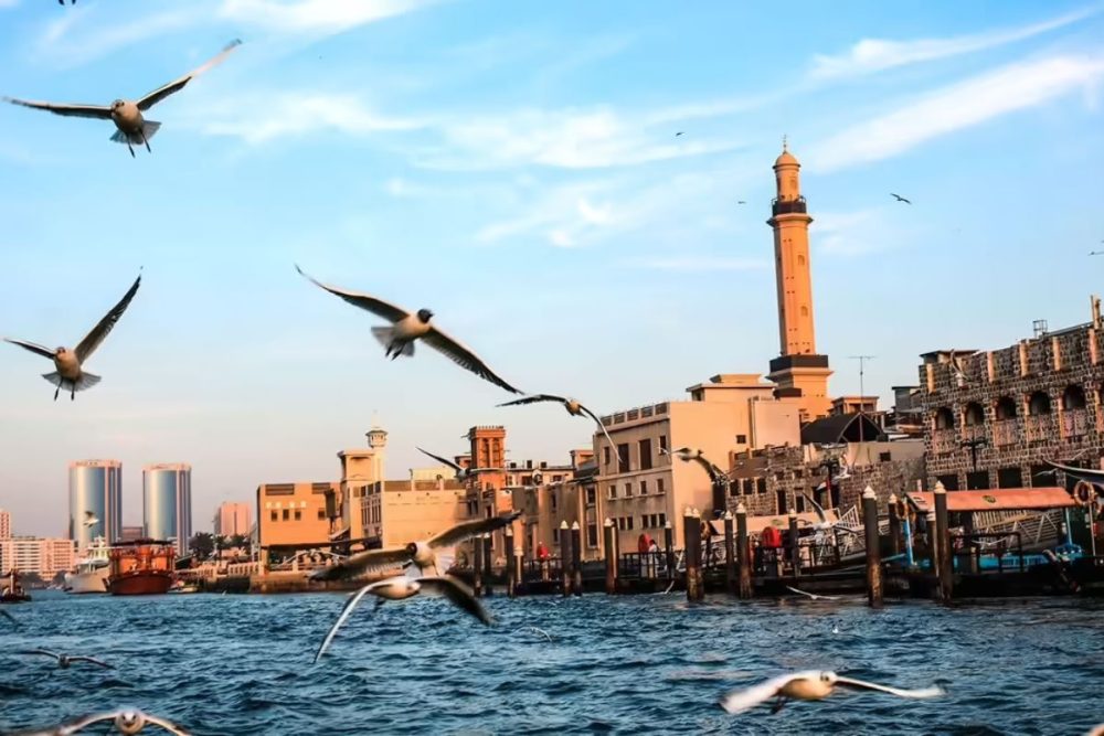 A Guide to Dubai’s Neighborhoods: Exploring the City’s Diverse Districts
